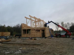 Medinė statyba