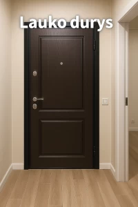 Lauko durys: kaip pasirinkti patikimas duris šaltajam sezonui?