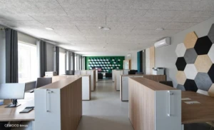 Medžio vilnos lubų ir sienų apdailos plokštės – unikali ir 100% natūrali medžiaga