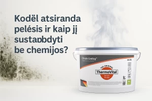 Kaip sustabdyti pelėsį be chemijos – šiuolaikinis sprendimas sveikam mikroklimatui