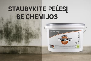 Kaip sumažinti pelėsio ir kondensato riziką rūsyje naudojant ThermoVital