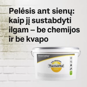 Pelėsis ant sienų: kaip sustabdyti jį ilgam be chemijos ir be kvapo