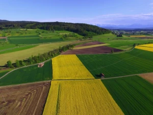 Nepasidalinate kiemu su kaimynu? Metas nubrėžti ribas!