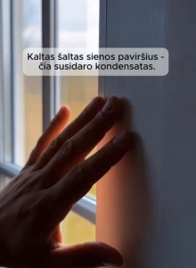 Kodėl pelėsis grįžta net po remonto? Dažniausios klaidos