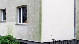 ThermoProtect termokeraminiai fasado dažai nuo dumblių ir samanų
