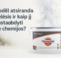 Kaip sustabdyti pelėsį be chemijos – šiuolaikinis sprendimas sveikam mikroklimatui Kaip sustabdyti pelėsį be chemijos – šiuolaikinis sprendimas sveikam mikroklimatui