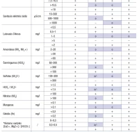 Lituotų plokštelinių šilumokaičių konstrukciniai sprendimai ir ilgaamžiškumas