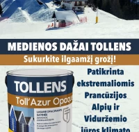 Tollens medienos dažai – jūsų medienos apsauga bet kokiu oru!