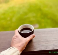 Kompozitinių medžiagų panaudojimas ir perspektyvos: kodėl verta rinktis WPC?