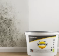 Kaip atsikratyti pelėsio ir drėgmės namuose – be chemijos ir brangaus remonto