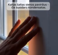 Kodėl pelėsis grįžta net po remonto? Dažniausios klaidos Kodėl pelėsis grįžta net po remonto? Dažniausios klaidos