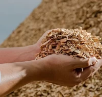 Medžio skiedrų (pramoninio biokuro) naudojimas šildymui daro teigiamą poveikį klimatui, ypač vertinant šio kuro gamybos procesą