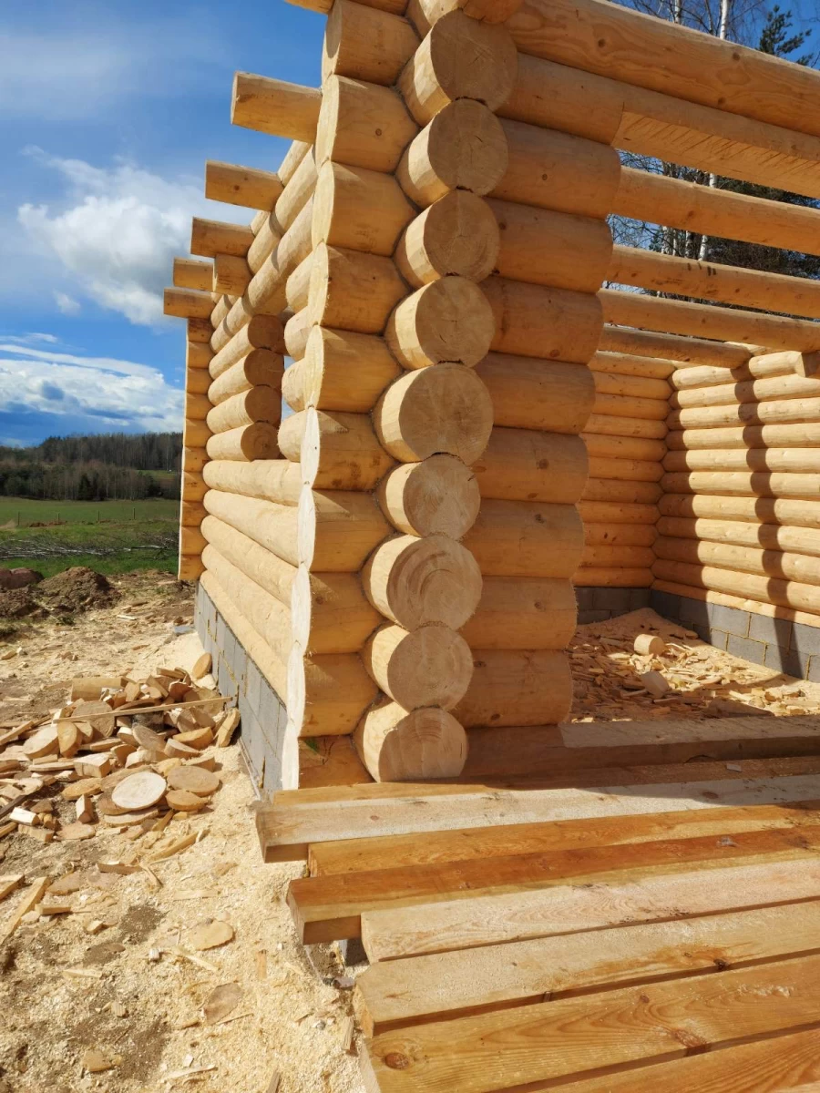 Rastiniai namai, pirtys