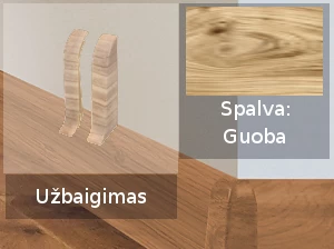 173 UŽBAIGIMAS TERMO GRINDJ.IZZI GUOBA