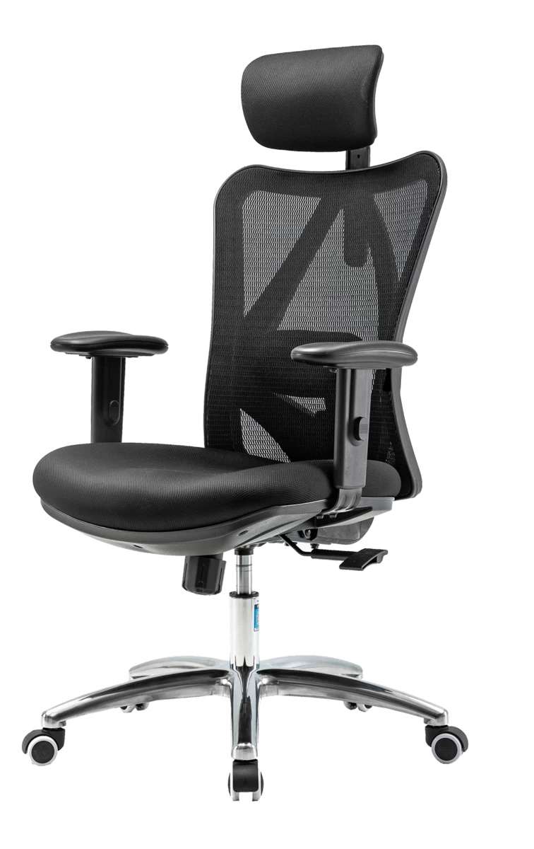Angel Biuro Pasukama Ergonominė Kėdė Europa