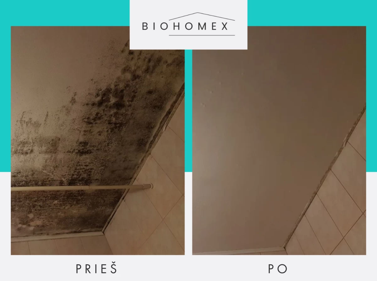 Pelėsio naikinimas „iki galo“