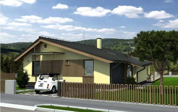 Vieno aukšto namo projektas Uosis
