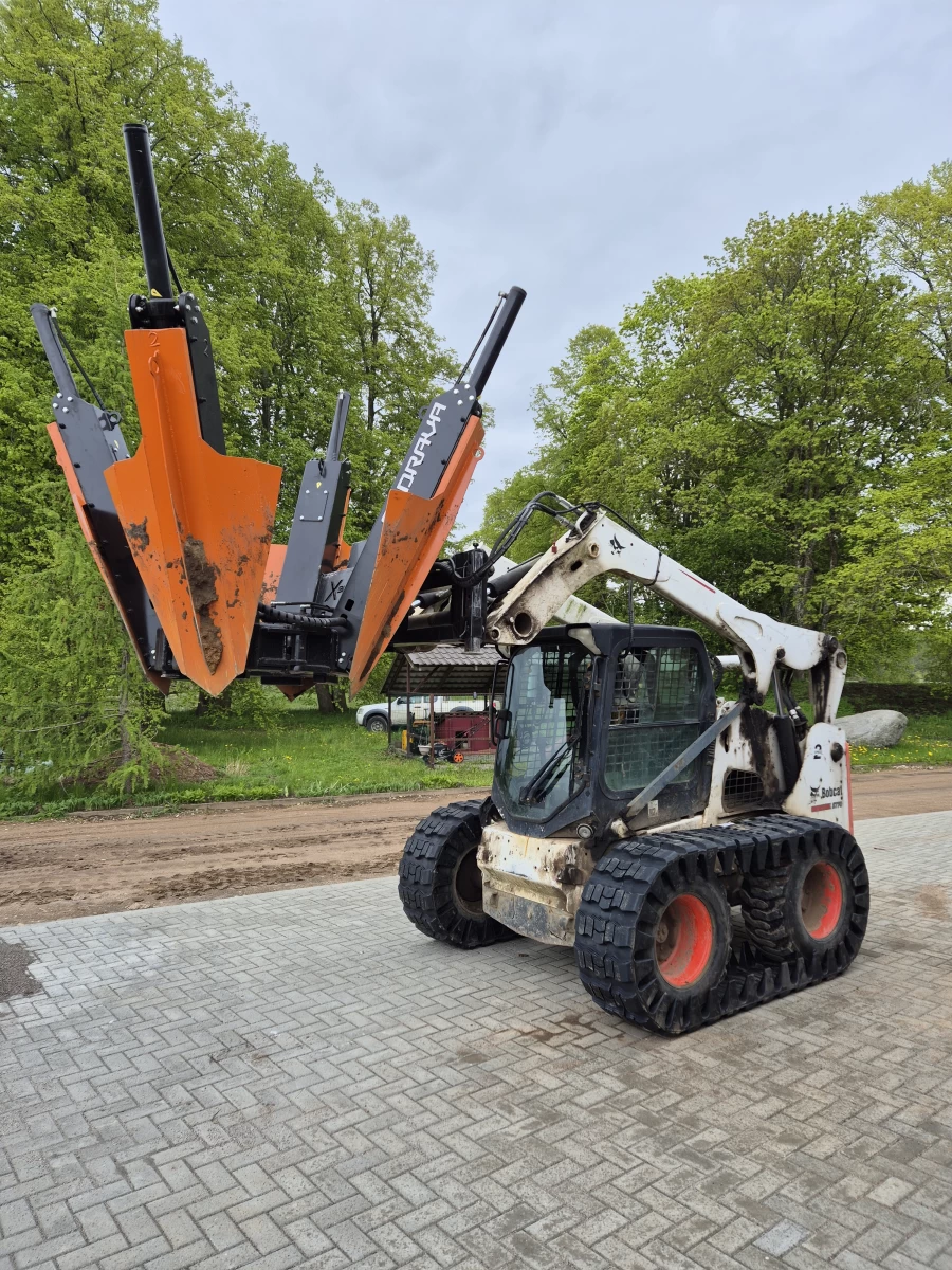 Medžių persodinimas visoje Lietuvoje