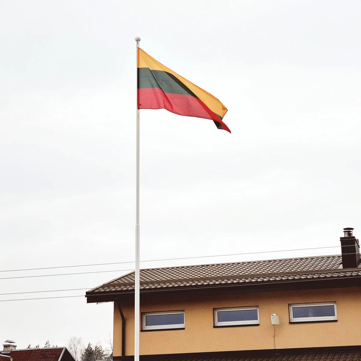 Vėliavos stiebų gamyba ir montavimas Vilniuje