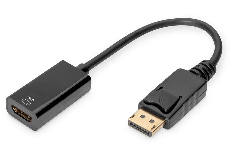 Adapter Cable            Displayport 1080p 60Hz