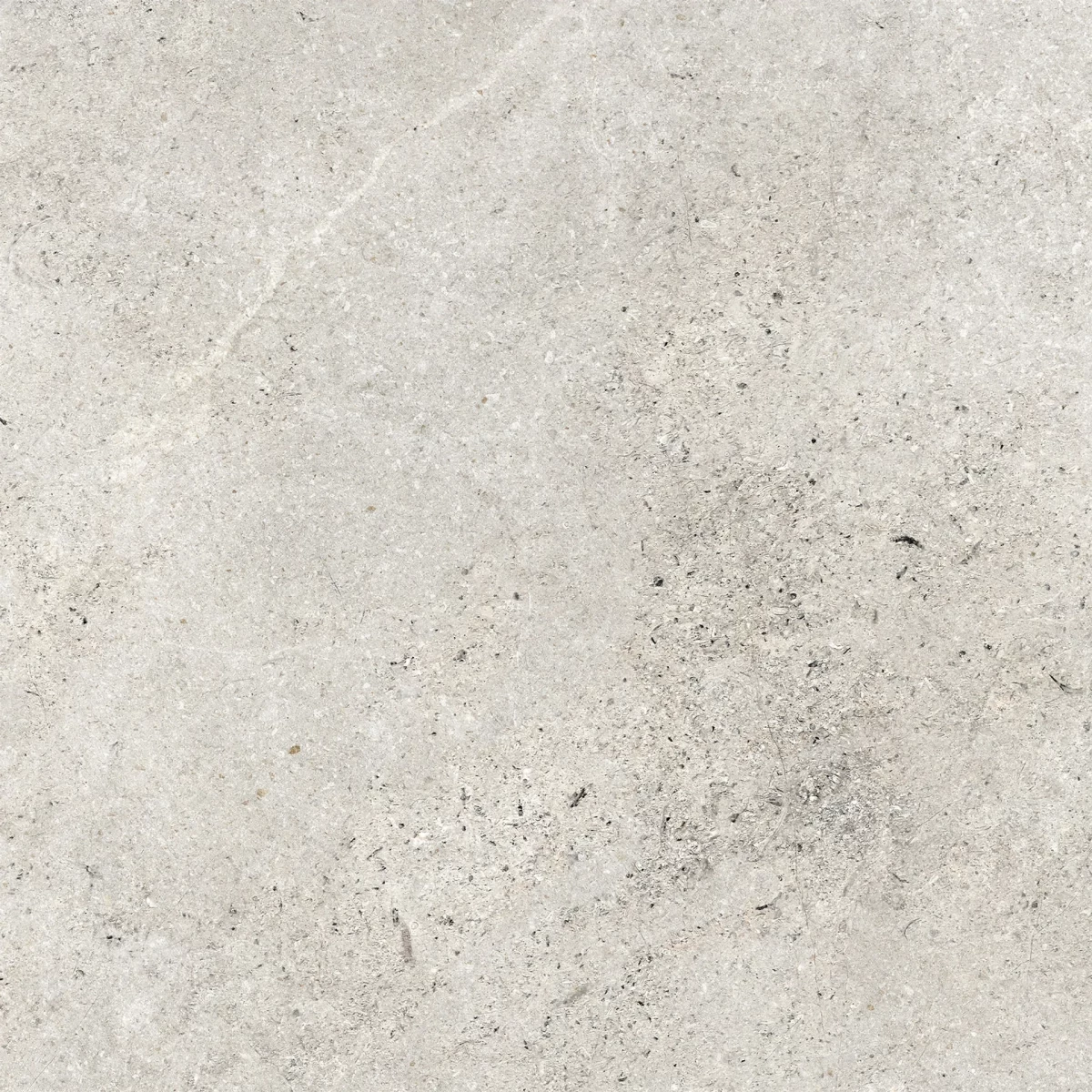 Akmens masės plytelės KASPIO LIGHT GREY MATT, 59,8x59,8 cm