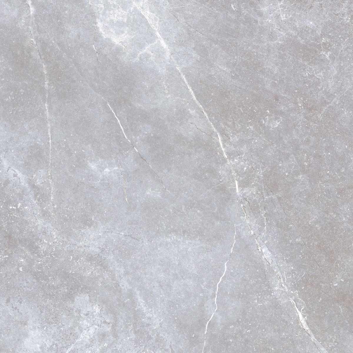 Akmens masės plytelės Space Stone Grey Matt, 60x60 cm
