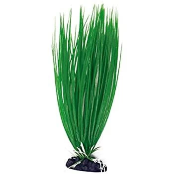 AMTRA ACORUS plastmasinis augalas mažas 10cm 1vnt, A8011933