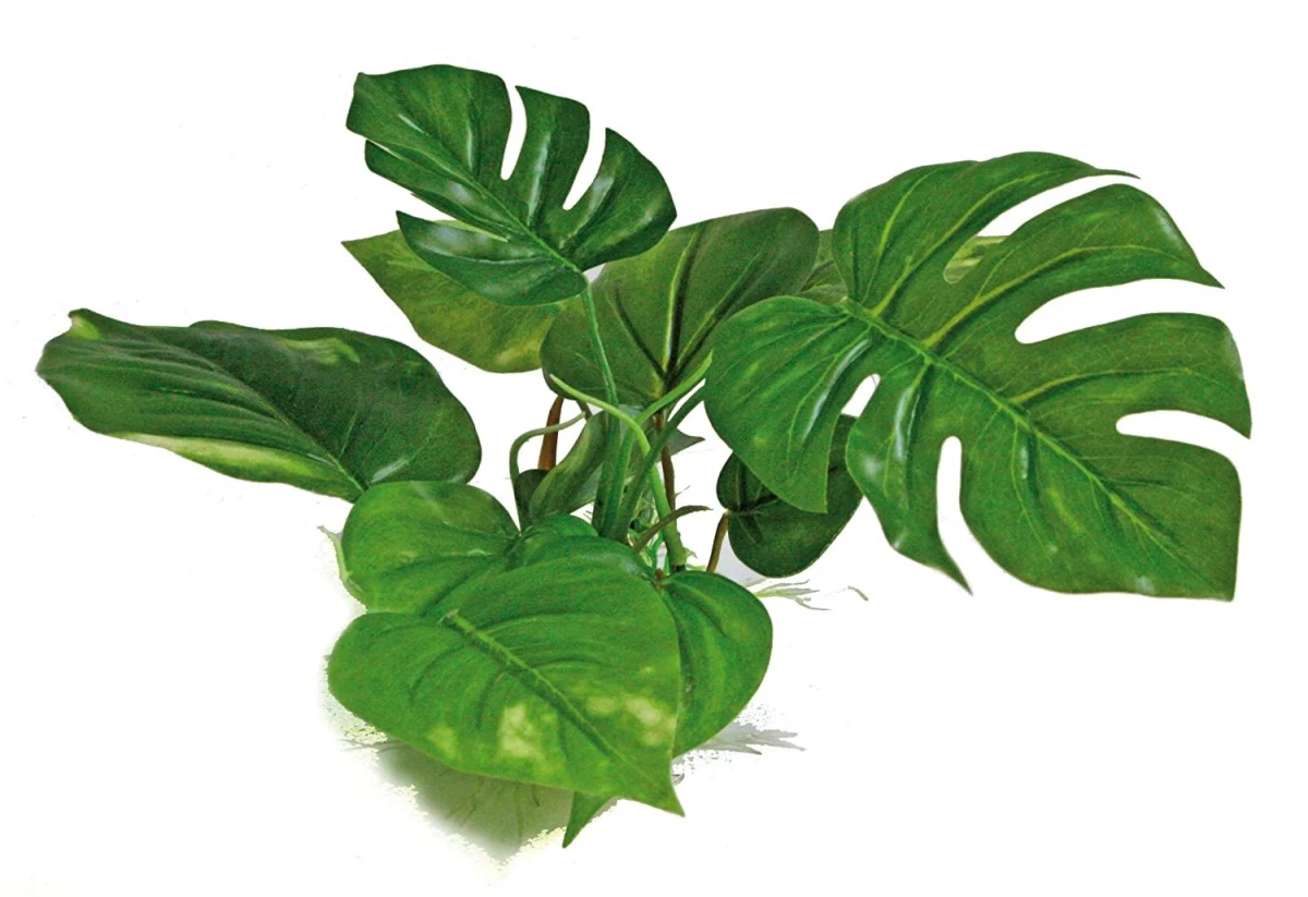 AMTRA ANUBIAS plastikinis augalas 15cm 1vnt, A8011400