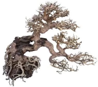 AMTRA dekoracija WOOD ORIENTAL natūralus medis 7 S, A8147660