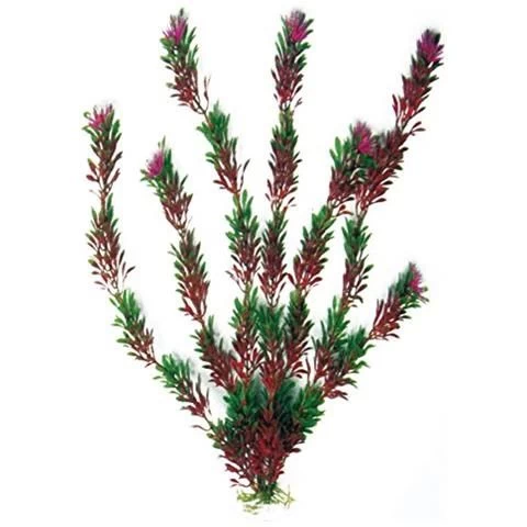 AMTRA FLORA BICOLOUR augalas mažas 13cm 1vnt, A8011182