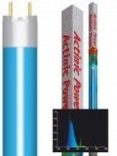 AMTRA Lempa ACTINIC POWER T5 24W (mėlyna) 550mm, A6049303