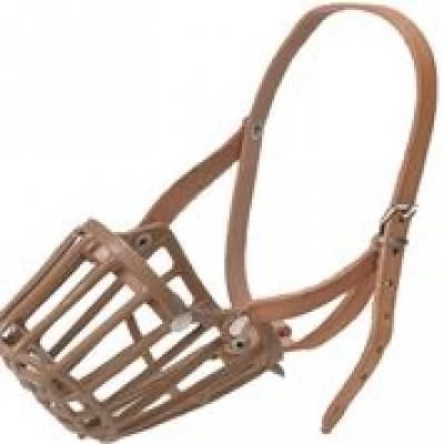 ANTSNUKIAI PLASTMASINIAI L, C6020386