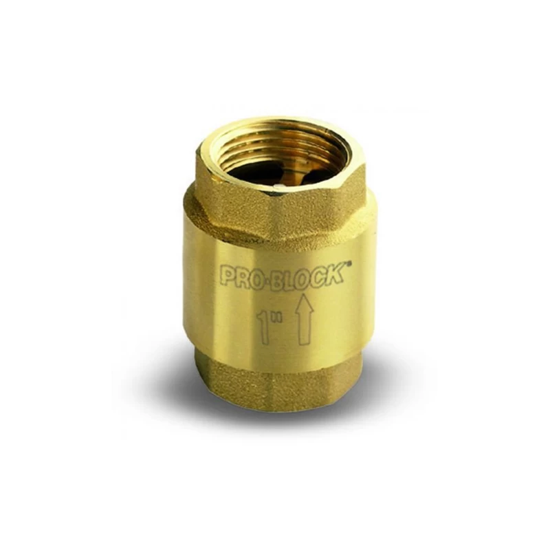 Atbulinis vožtuvas Pedrollo VR1 1Fx1F