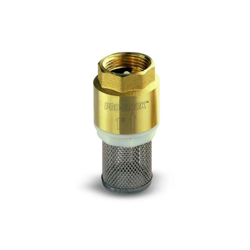 Atbulinis vožtuvas su sieteliu Pedrollo VF1 1F