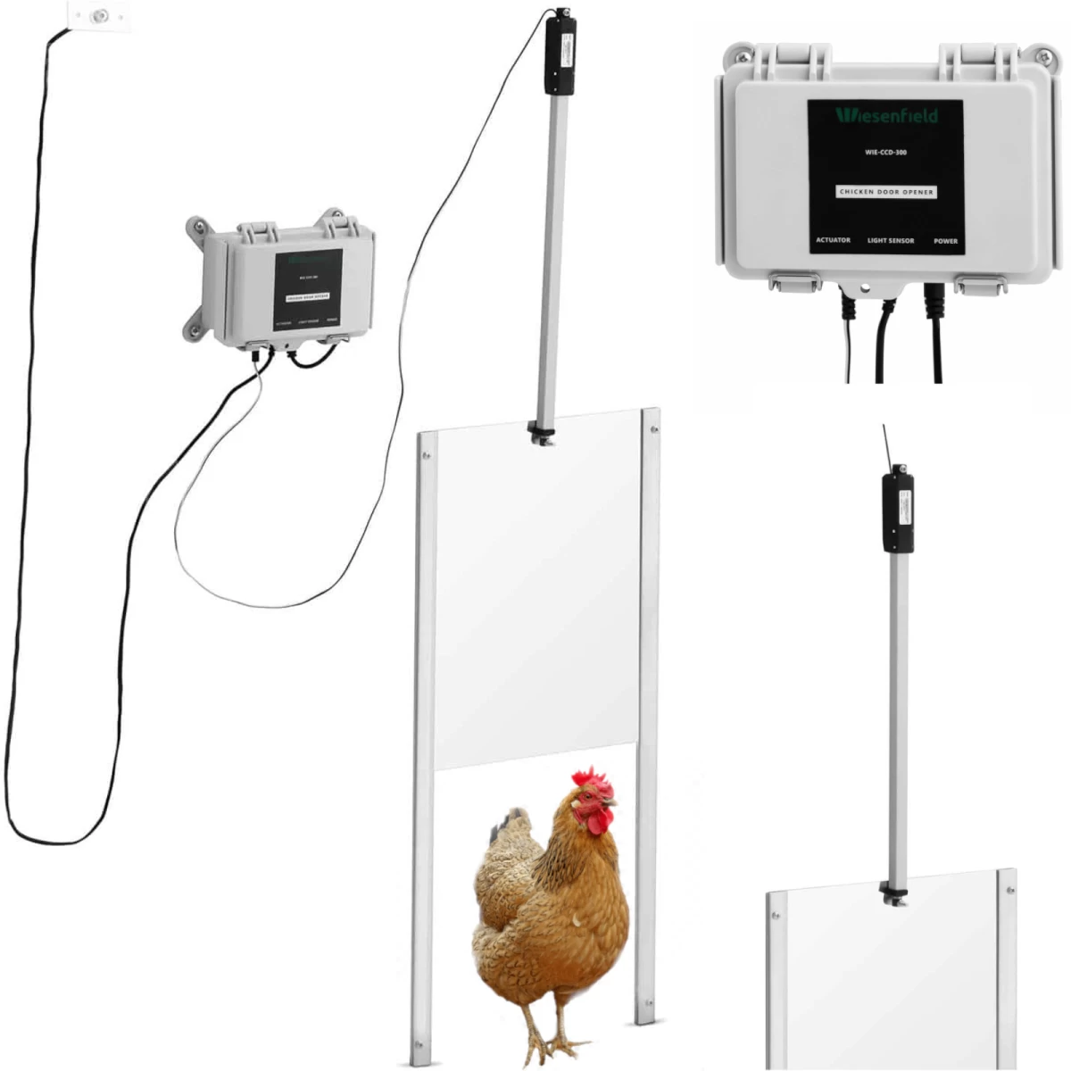 Automatinė Paukštidės Durų Sklendė Su šviesos Jutikliu Ir 12 V Lcd Blokavimu