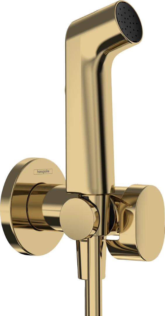 Bidė dušelis Hansgrohe aukso sp. 29232990