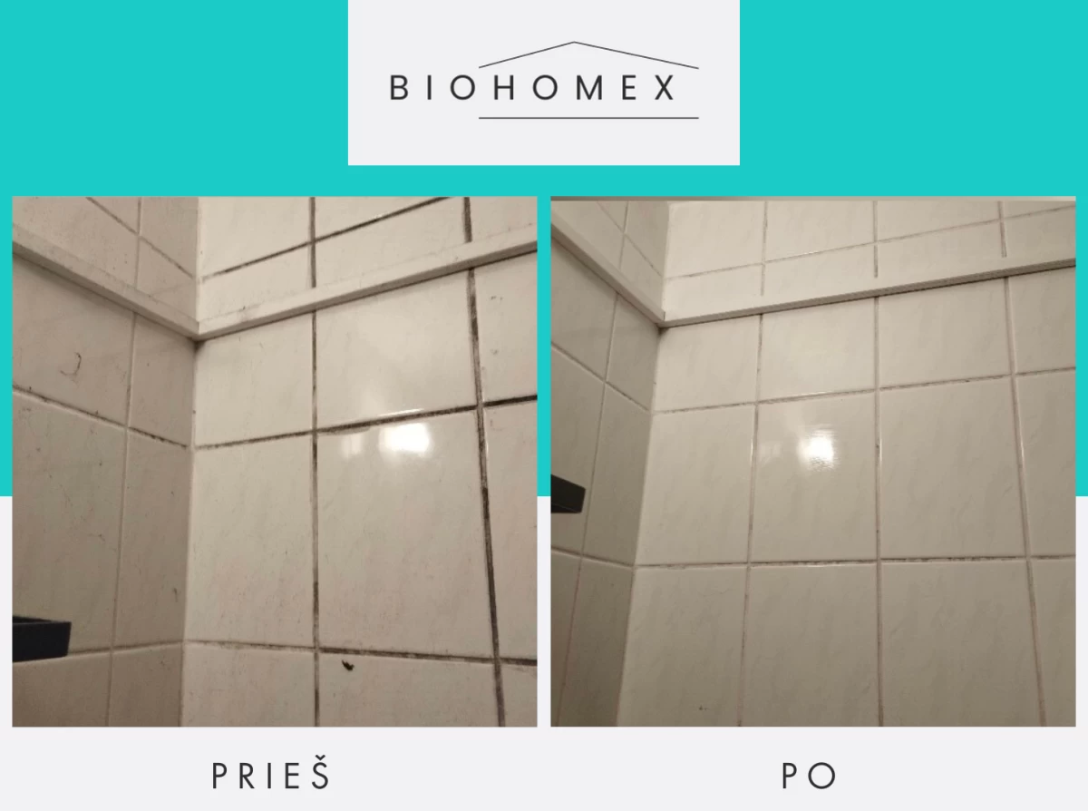 Pelėsio naikinimas „iki galo“