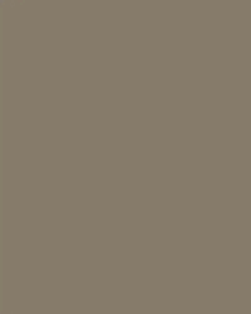 Bistro CI 1160 taupe - 0.9 L - Visiškai matinis Bistro CI 1160 taupe - 0.9 L - Visiškai matinis