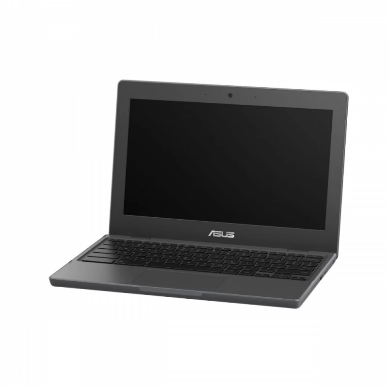 Chromebook Cb1100cka-gj0415