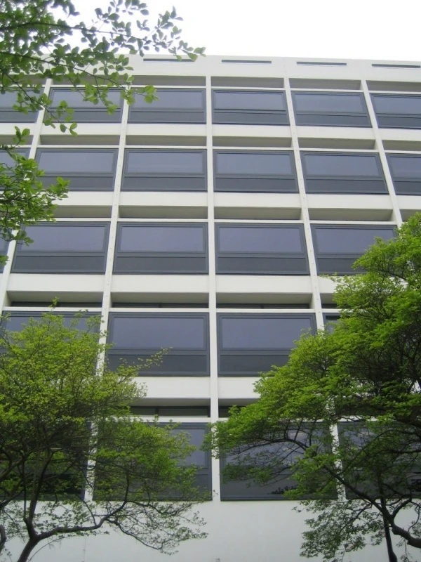 Mediniai langai kaustyti aliuminiu | ZYLE FENSTER