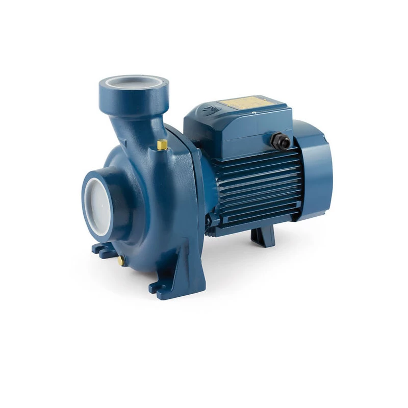 Didelio našumo siurblys Pedrollo HFM 4 220V