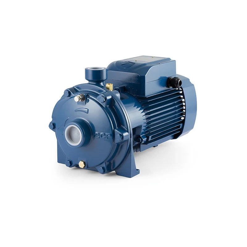 Dvipakopis siurblys Pedrollo 2CP 32/210B 380V