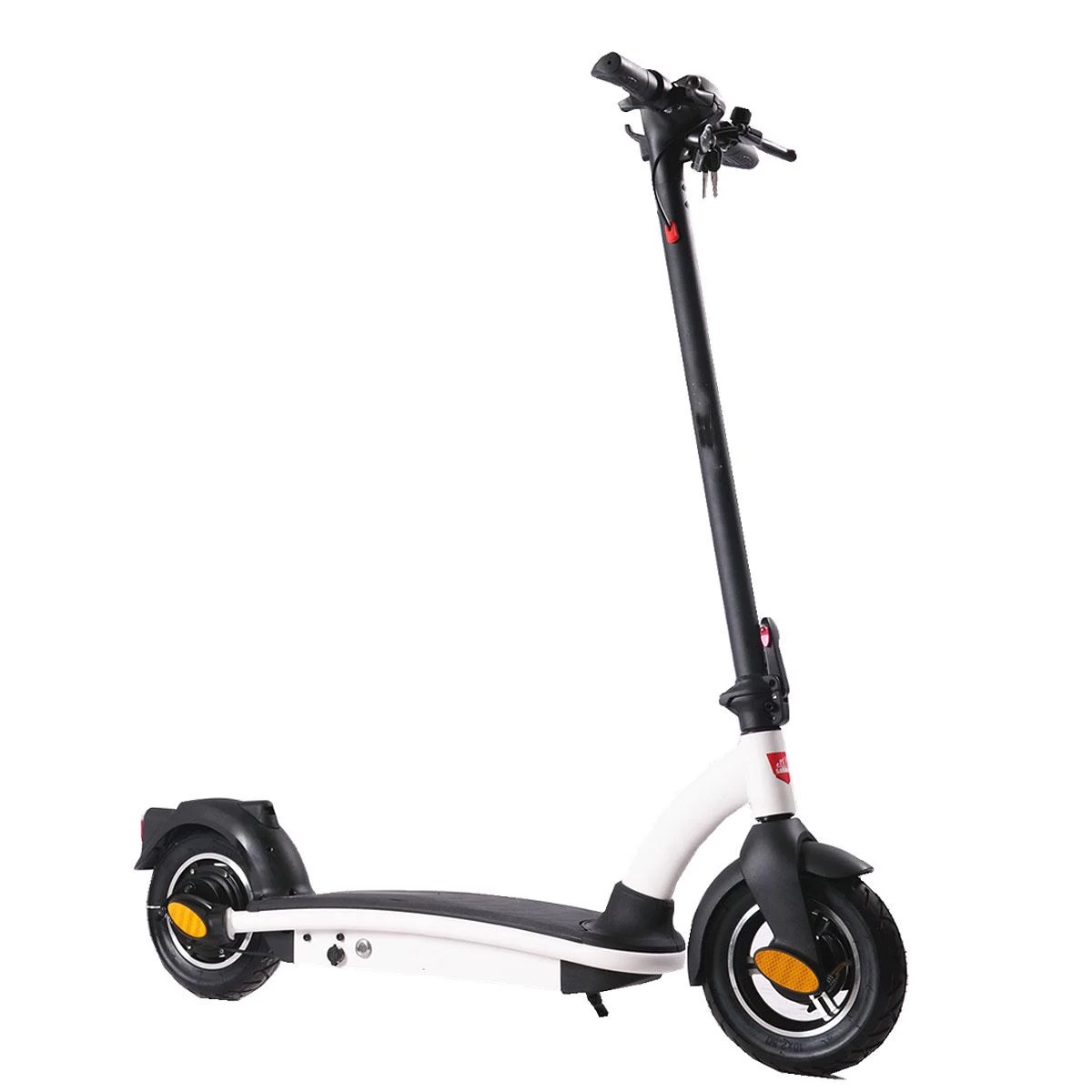Elektrinis Motoroleris 36v 500w 8ah Des02