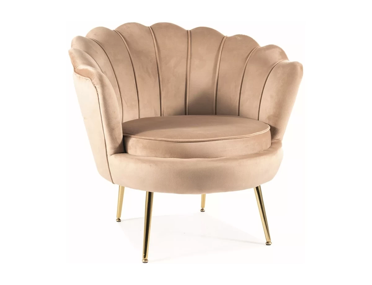 Fotelis SG28746