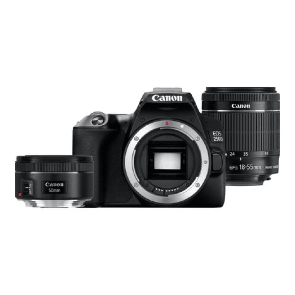 Fotoaparatas Canon EOS 250D EF-S 18-55mm, EF 50mm III PORTRAIT KIT