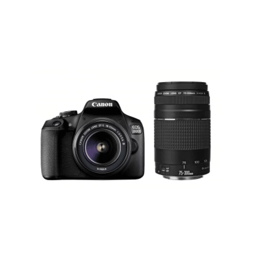 Fotoaparatas Canon EOS 250D Premium Travel Kit EF-S18-135mm f/3.5-5.6 IS STM