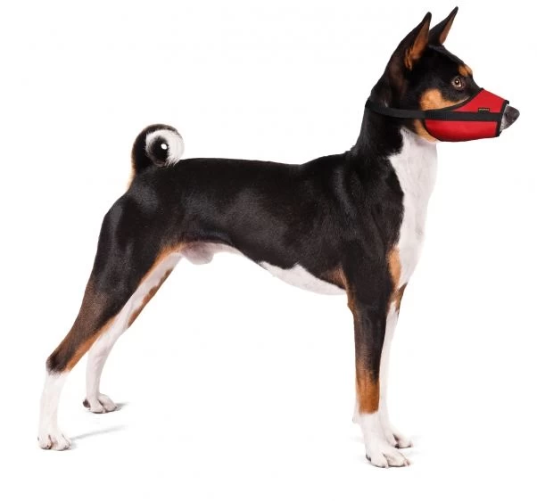 GF Antsnukis VET dydis XL (raudonas) (Veterinarinis), KA/WET/5(XL)