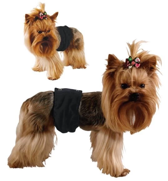 GF Kelnaitės šunims 'Pampas' XL 58-70cm, PA1/5(XL)