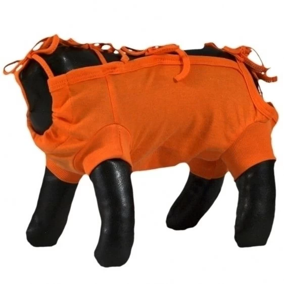 GF Pooperaciniai marškinėliai (oranž) L 44cm, WET1R/4(L)