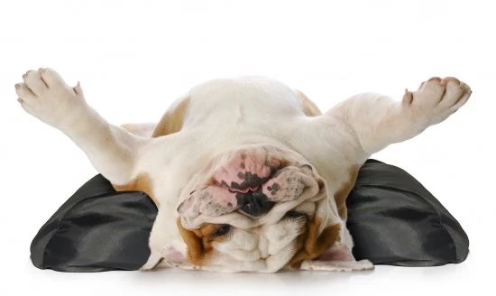 GF Stabilizatorius USG; R; 1kg 18/27 L, STAB3.L